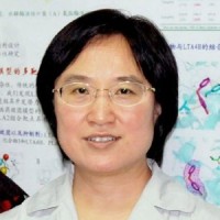 来鲁华 照片
