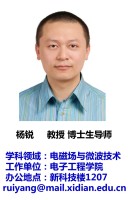 杨锐 照片