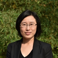 张晓慧 照片