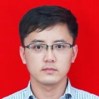 白杨 照片