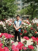 杨和 照片