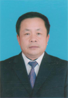 张晨 照片