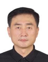 王昕 照片