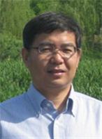 杨涛 照片