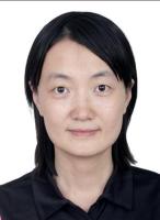 杨盈莹 照片