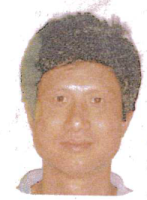 王应平 照片
