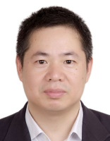 叶松 照片