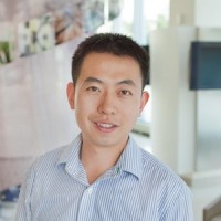 司同 照片