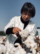 宋美珍 照片