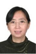 许桂平 照片