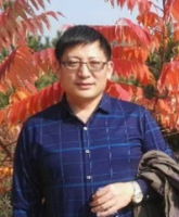 张锋 照片