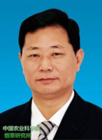 王元英 照片