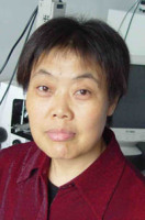 王春兰 照片
