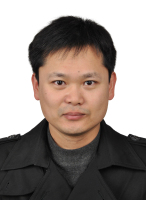 白桦 照片