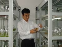 严小军 照片