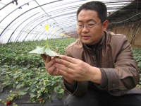 张昌爱 照片