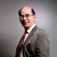 Ungar, Goran 照片
