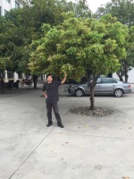 邓建宇 照片