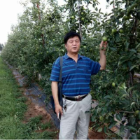 王俊峰 照片