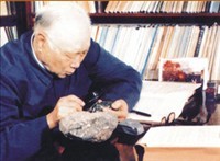 张伯声 照片