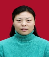 张娜 照片