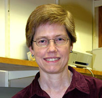 O'Connell, Lynne A. 照片