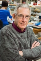 Seyfried, Thomas N. 照片