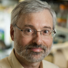 Waxman, David J. 照片