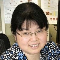 Liu, Ping 照片