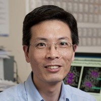 Jin, Rongchao 照片