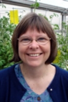 Bedinger, Patricia 照片