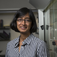 Venkataraman, Latha 照片