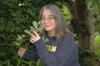 Koptur, Suzanne 照片