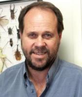 Lambert, David 照片