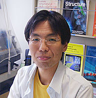 Fujihashi, Masahiro 照片