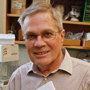 Steinmetz, Mark G. 照片