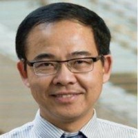 Wang, Linfa 照片