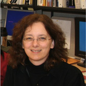 Wyslouzil, Barbara 照片