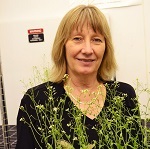 Mohnen, Debra 照片