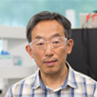 Wang, Shaobin 照片