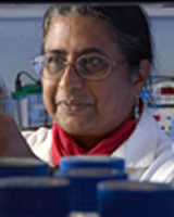 Subramanian, Vasanta 照片
