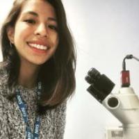 Hernandez, Tania Castillo 照片