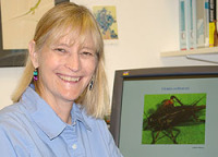 Hedrick, Ann 照片