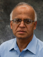 Upadhyaya, Shrinivasa K. 照片