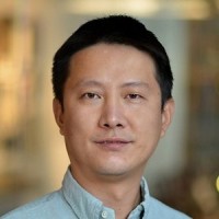 Li, Wei 照片