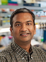 Chalasani, Sreekanth 照片