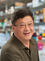 Hwa, Terry 照片