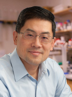 Xu, Yang 照片