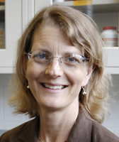 Ehrman, Sheryl H 照片