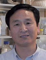 Zhang, Ren 照片